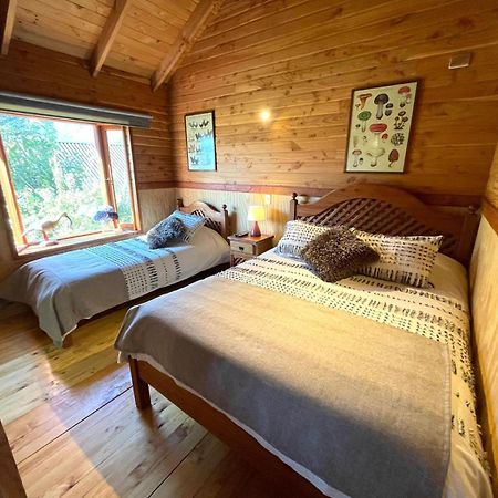 Hostal Pucon Sur Екстер'єр фото